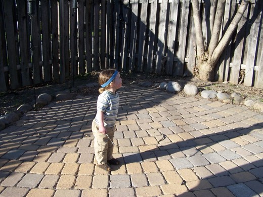 A Confident Child Watching a Stick He Has Thrown.