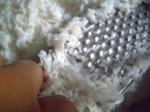 Grated Coconut Meat (Photo by Travel Man)