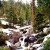 Area within the Giant Forest where cabins used to be located. Area within the Giant Forest where cabins used to be located.