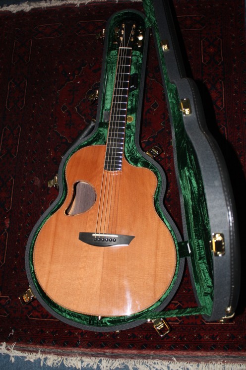 This is another view of my McPherson MG-3.5 acoustic guitar. The case is a production of Ameritage and custom built to fit this axe. It's snug as a bug in a rug!