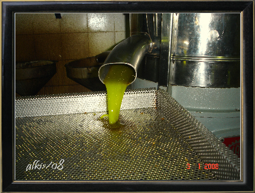 just the time pure oil gets off the olive press machine