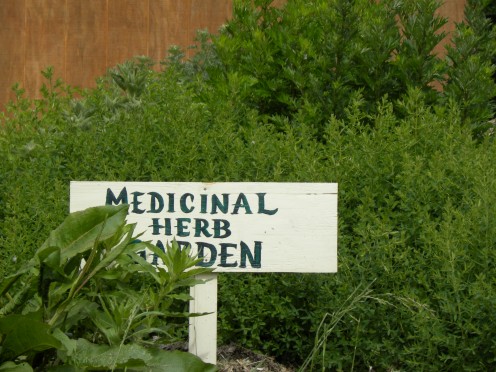 Crystal's herb garden 