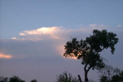 Looking at new skies everyday is like looking for opportunities to teach a child.