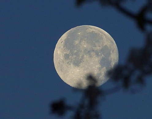 Dance by the light of the moon!