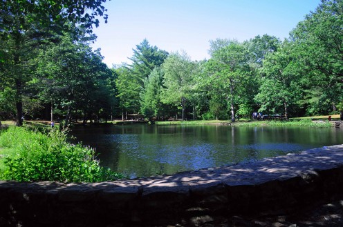 Old Mill Pond, on the north end of the park, is the most popular fishing spot.