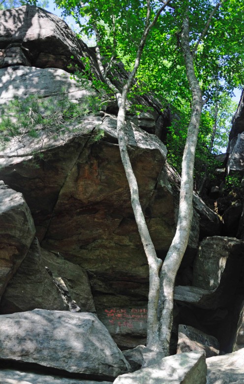 The boulder strewn Indian Caves area