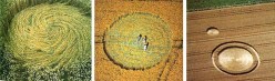 The Crop Circles/Formations