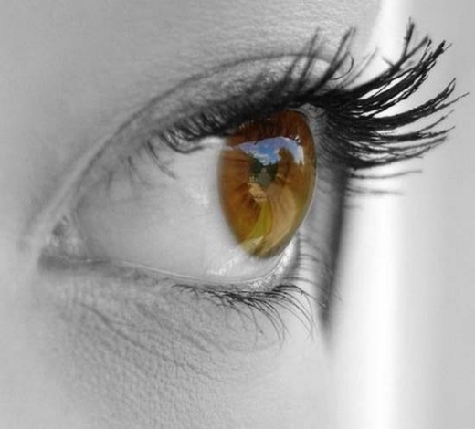 Drink to me only, with thine eyes. And I will pledge with mine.