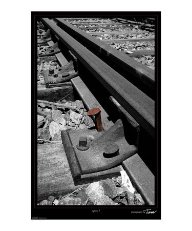 Do you have a ONE Track Mind?