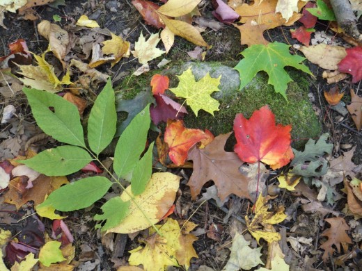 Seasons equal changes