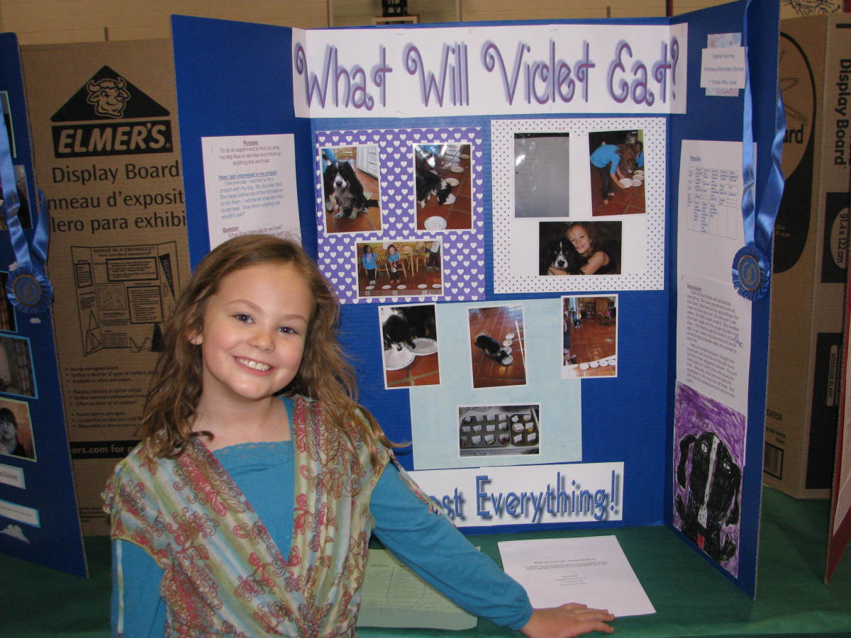 What would be a good social studies fair topic?