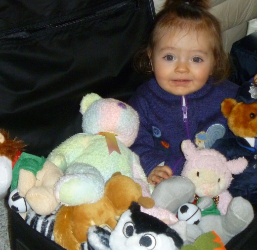 Where are all the animals hiding?? Where are all the animals hiding??