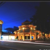 buddysamui profile image