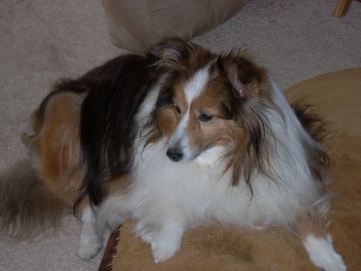 Chloe age 12.