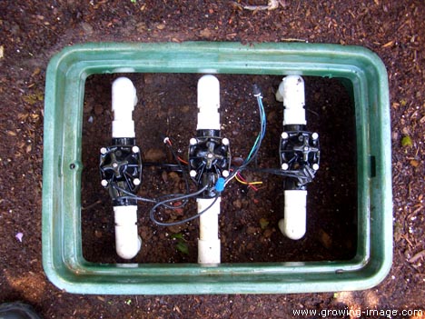 Most Frequently Asked Questions about Irrigation Valve Boxes | HubPages