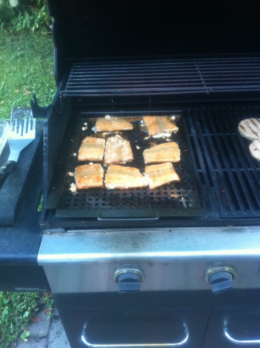 Salmon Fillets on the Grill