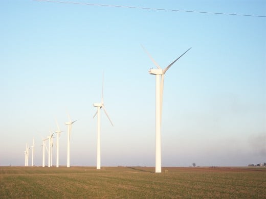 Wind turbines provide a clean source of energy, yet it has been related to mass mortality of bats. The turbines also occupy land and require certain amount of wind to be efficient. 