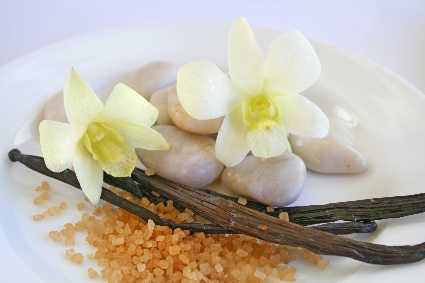 Vanilla bean pods and flower