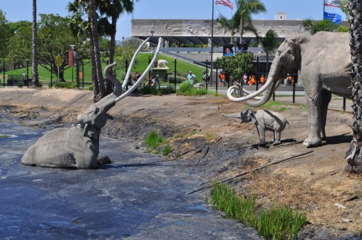 This was natures own trap. If an animal got caught, other animals will either prey on them or come to their aid. Because of this, La Brea Tar Pits has recovered several fossils from the Ice Age.
