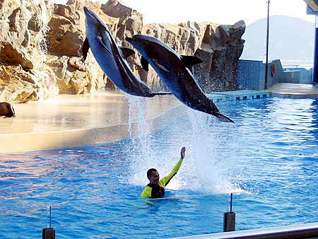 Hongkong Ocean Park