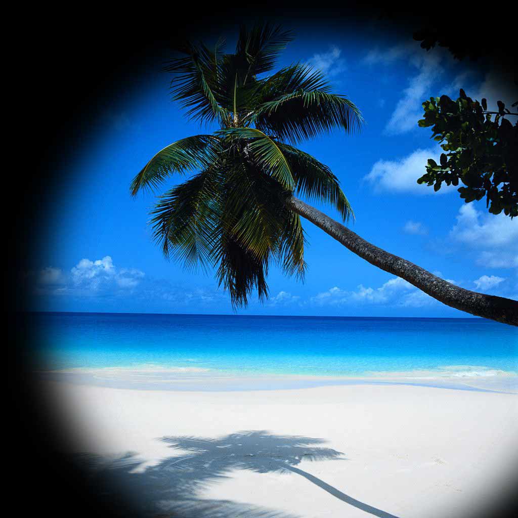 HubPages profile picture for @naples