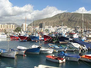 Los Cristianos harbour. Photo by David Parkes