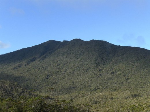 Mount Hamiguitan