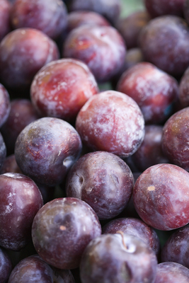 Prunes and plums for constipation