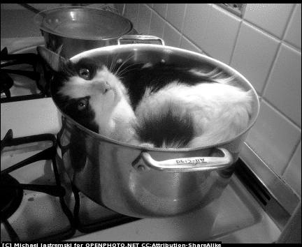 KC helping in kitchen