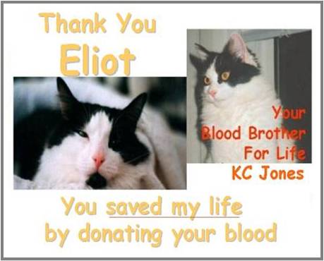 Eliot and KC now Blood Brothers for Life