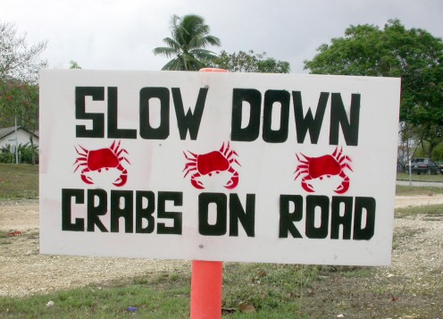 Islanders put up signs to warn for and protect the crabs