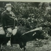 kashannkilson profile image