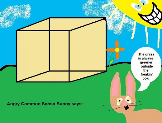 Angry Bunny says: