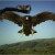 This is the animated GIF of birds, that are supposed to be scary... This is the animated GIF of birds, that are supposed to be scary...