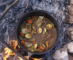 Tips for Traveling,and remember to pack the camp oven