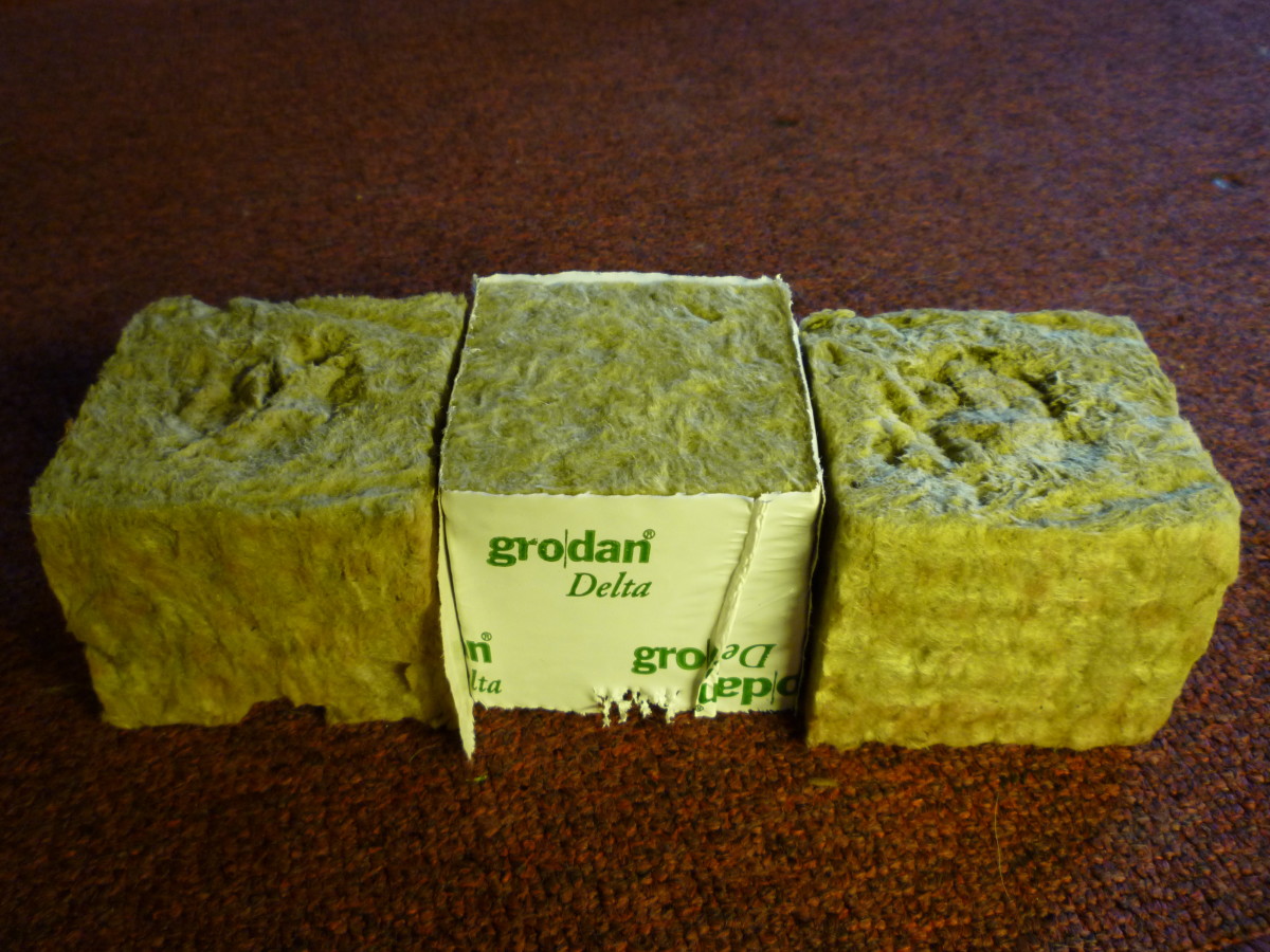 What are Rockwool Cubes?