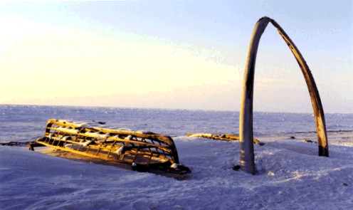 The frame of a wooden, Inuit umiak boat, with whale bones found on the frozen shoreline of the Arctic Ocean at Point Barrow, Alaska. April 1999. 