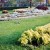 Landscaping in Mitchell Park Landscaping in Mitchell Park