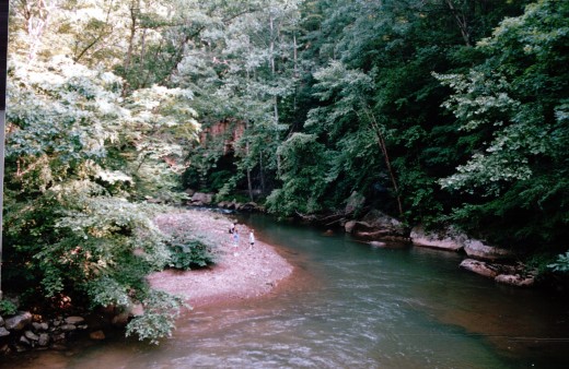 Image of the Elk River, which ran parallel with Miller Mountain.  Generations of my grandparents would follow the river down the mountain with a wagon team of horses to the lumber mill in town.
