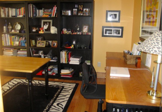 alpha girl desk area