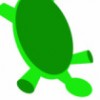 Awkward Turtle profile image