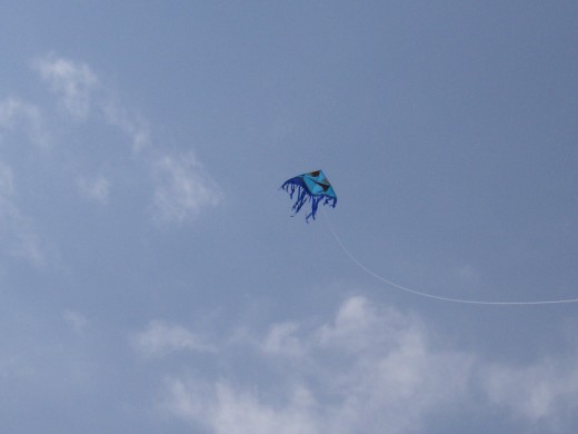 High up in the sky