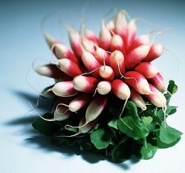What is the best option for taking a macro photograph