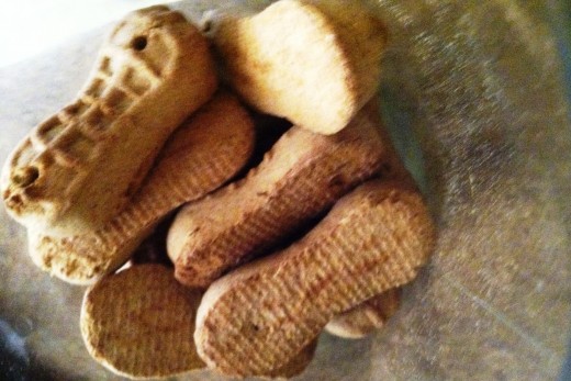 We picked Busa up some new peanut butter flavored dog treats this evening.