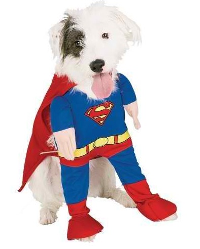 Halloween Cutest Small Costume for 2014 