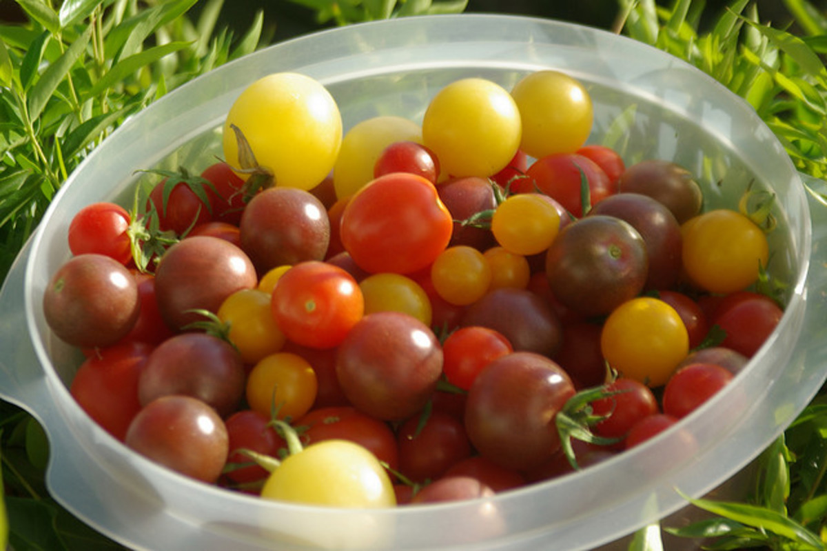 Beautiful, seasonal cherry tomatoes come in a variety of flavors, each with a slightly different sweetness. For this reason, they make the ideal healthy pizza toppings.