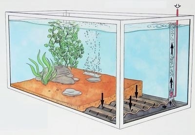 Aquarium Filtration