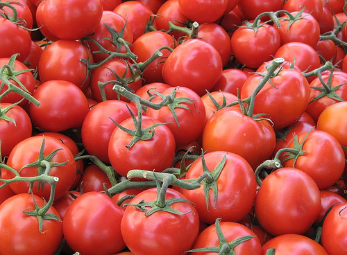 Tomatoes retain the most flavor when stored at room temperature.