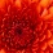 Discover2020 profile image