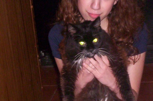 My first cat, Sadie